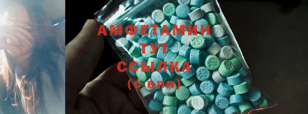 прущие грибы Покров