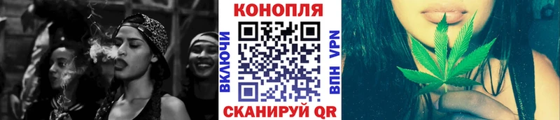 Каннабис OG Kush Лакинск
